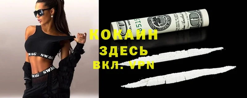 COCAIN Эквадор  как найти   ссылка на мегу как зайти  Макушино 